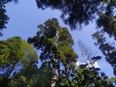 -东天目山风景区