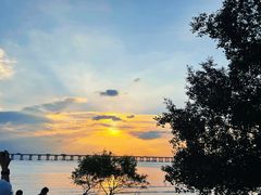 -宝安西湾红树林湿地公园