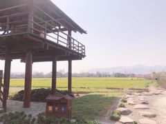 -长田漾湿地公园