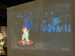 -J Create城市露营咖啡·简餐·宠物(上海动物园店)