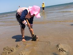 -南戴河旅游度假区