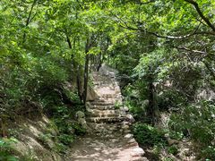 -大岭沟猕猴桃谷风景区