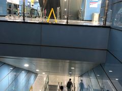 -大龙山(地铁站)