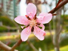 -西北湖绿化广场