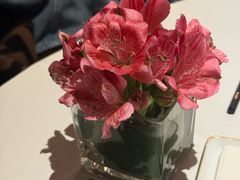 -炳胜公馆(珠江新城店)