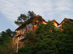 -铁山坪森林公园