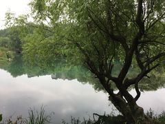 -贵阳市花溪国家城市湿地公园