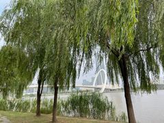 -南京眼步行桥