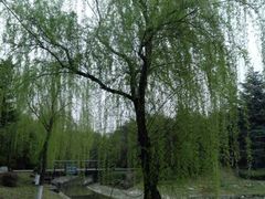 -四川大学(望江校区)