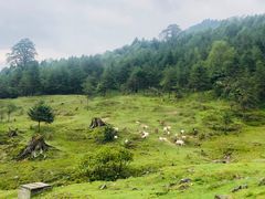 -硗碛藏寨·神木垒景区