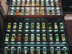 -广东中医药博物馆