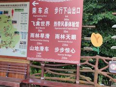 -海南槟榔谷黎苗文化旅游区