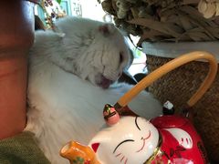 -小时光咖啡馆(北锣鼓巷店)