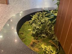 -江小渔鲜鱼火锅(西二道街店)