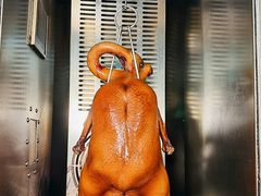 -粤香楼(新光里店)