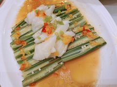 黄椒酱秋葵蒸鳕鱼-旺顺阁海鲜广场(亚运村店)