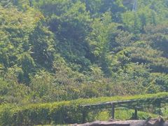 -古龙峡漂流