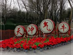 -青藏高原野生动物园