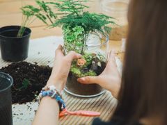 -弗劳尔花艺坊(龙涛店)