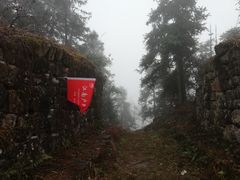 -千岛湖石林