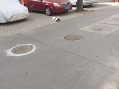 -大营西亚皮草新城