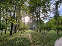 -仁和公园(顺义区)