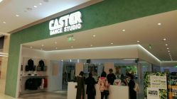 -CASTER