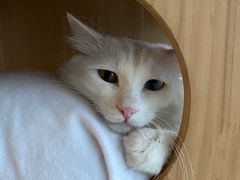 -Catmate·猫肥家润(金润铂宫店)