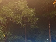 -木屋烧烤(龙岗南联店)