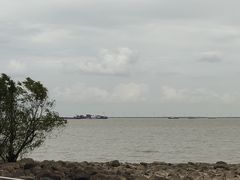 -吴淞炮台湾湿地森林公园烧烤区
