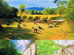 -北京张裕爱斐堡酒庄