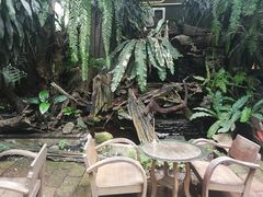 -Fern Forest Cafe