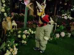 -杭州第一世界大酒店·云曼温泉
