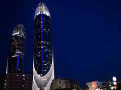 -演武大桥观景平台