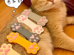 -麦当劳(江滨北路得来速餐厅)