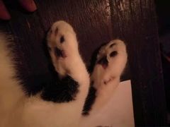 -江湖边·小生活