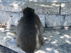 -乌鲁瓦图寺