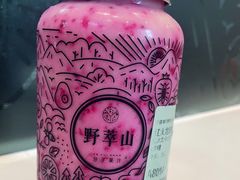 -野萃山·潮汕厚果汁(十亩地店)