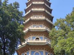 -灵谷景区