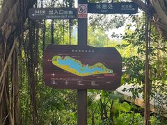 -华侨城湿地公园