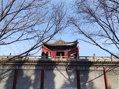 -洛阳白马寺