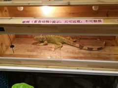 -汉仁宫·古法按摩·足道·SPA(民治店)