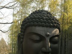 -杭州植物园