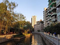 -荔湾湖公园