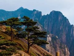 -黄山风景区