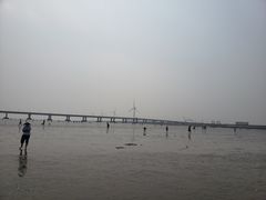 -南汇嘴观海公园