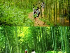 -火炉山森林公园
