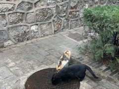 -窦大夫祠