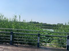 -大兴滨河森林公园