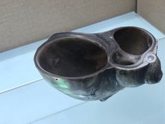 -婺源博物馆